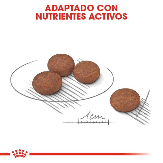 Small Digestive Care 1.5 kg