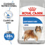 Large Weight Care 13.6 kg
