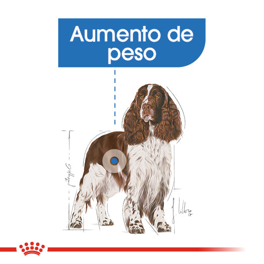 Medium Weight Care 13.6 kg