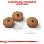 Small Weight Care 1.1 kg