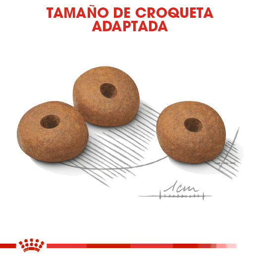 Small Weight Care 1.1 kg