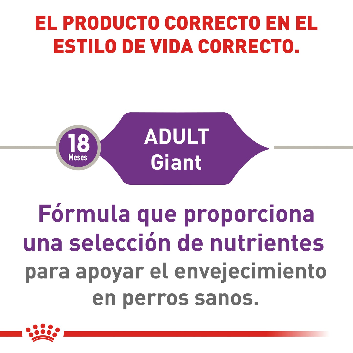 Giant Adult 13.6 kg