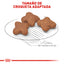Small Adult +8 1.1 kg