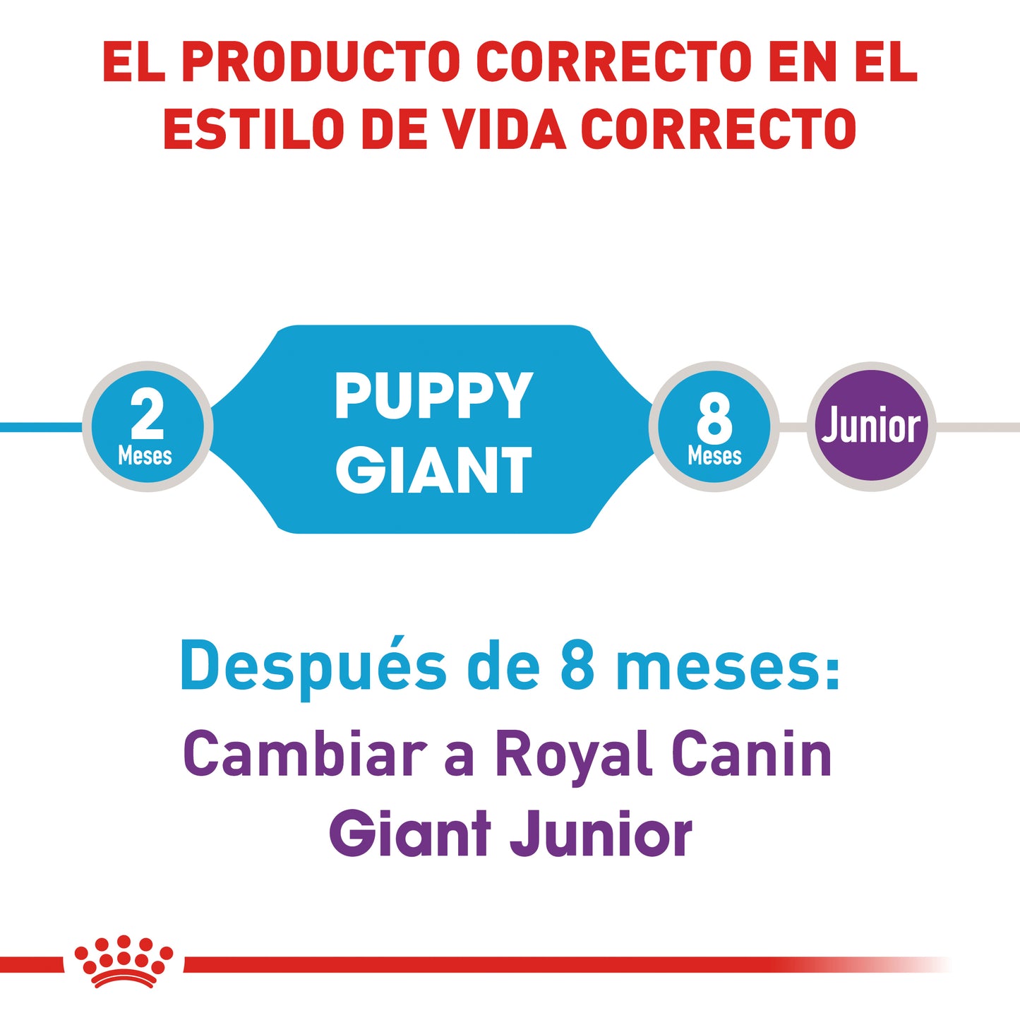 Giant Puppy 13.6 kg