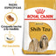 Shih-Tzu Adult