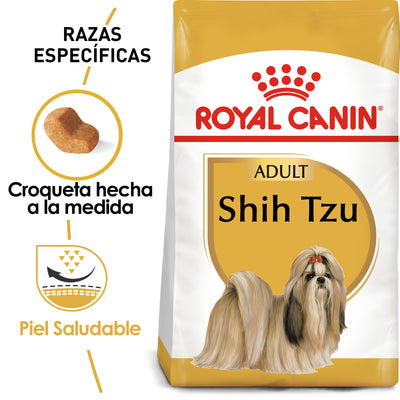 Shih-Tzu Adult