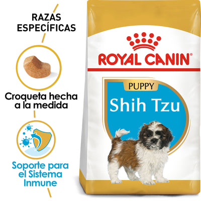 Shih-Tzu Puppy 1.1 kg